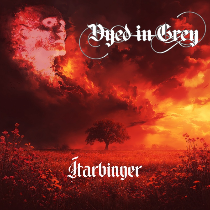 Dyed in Grey cover artwork
